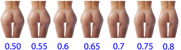 waist to buttock ratio