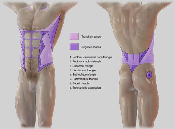 Hips/Thighs - KleinLipo - Liposuction Surgery of Orange County