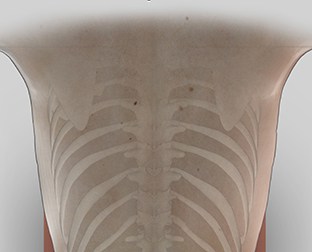 liposuction complications chest
