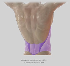 posterior flanks danger zones